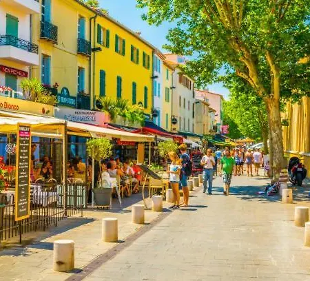 Cosy Migrainier - Vieil *