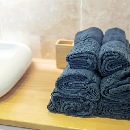 Appartement Cosy Migrainier - Vieil