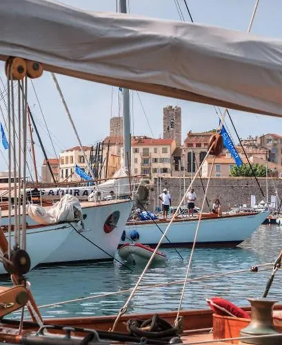 Cosy Migrainier - Vieil *