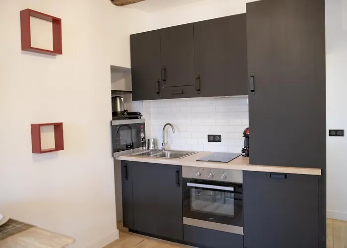 Apartamento Cosy Migrainier - Vieil Antibes